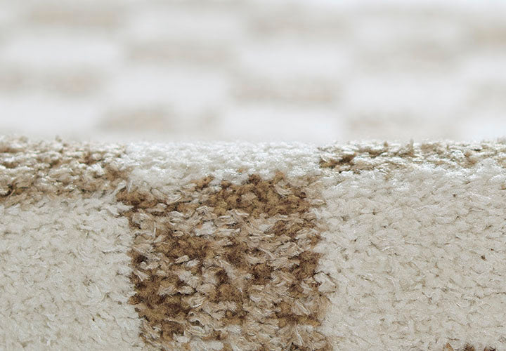 Kaia 1 Checkered Beige Shag Rug