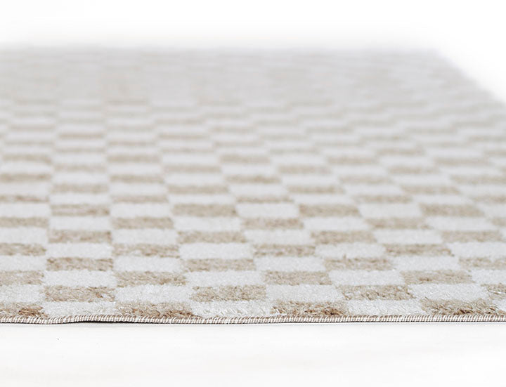 Kaia 1 Checkered Beige Shag Rug