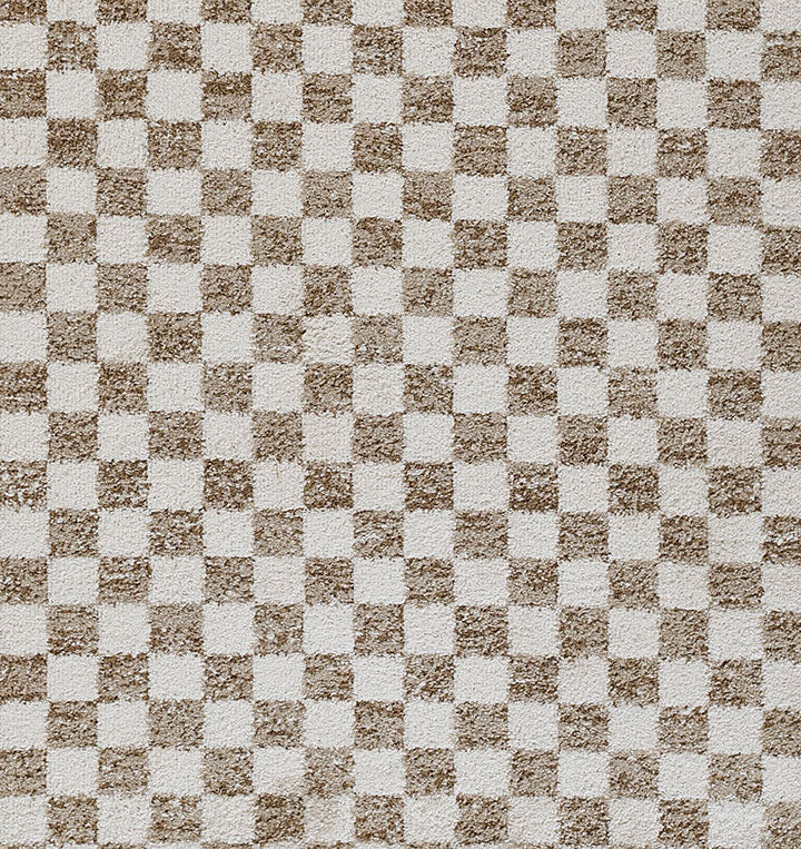 Kaia 1 Checkered Beige Shag Rug