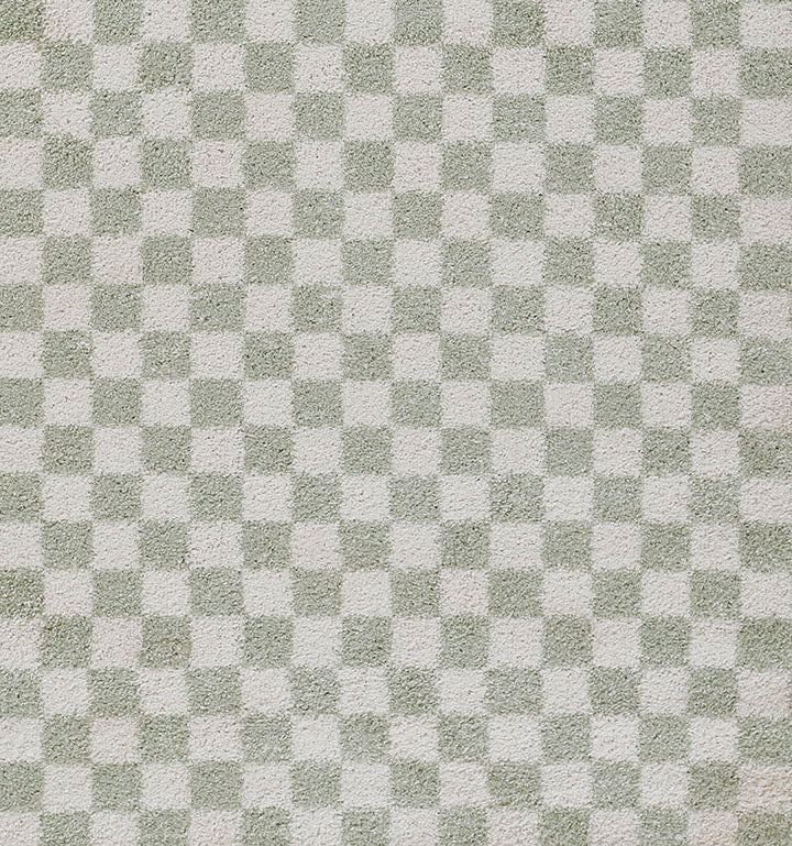 Kaia 1 Checkered Green Shag Rug