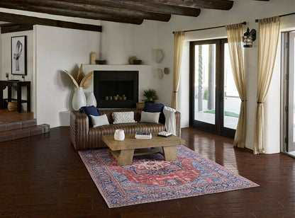 Afshar 37 Red Antique Wash Medallion Rug
