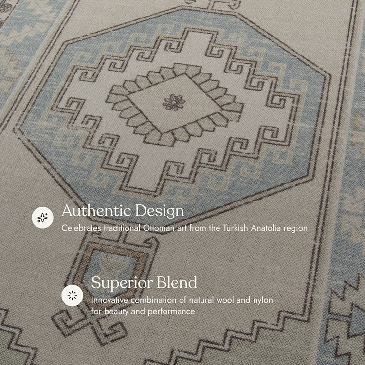 Anatolia 2 Vintage Light Blue Rug