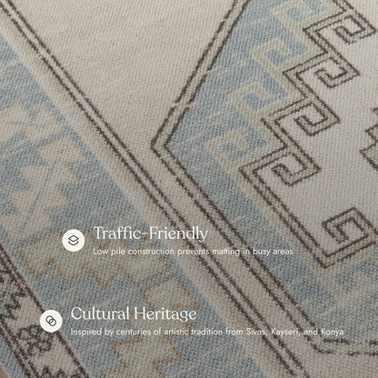 Anatolia 2 Vintage Light Blue Rug