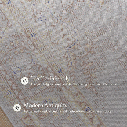 Isabella 1 Grey Soft-Touch Vintage Rug