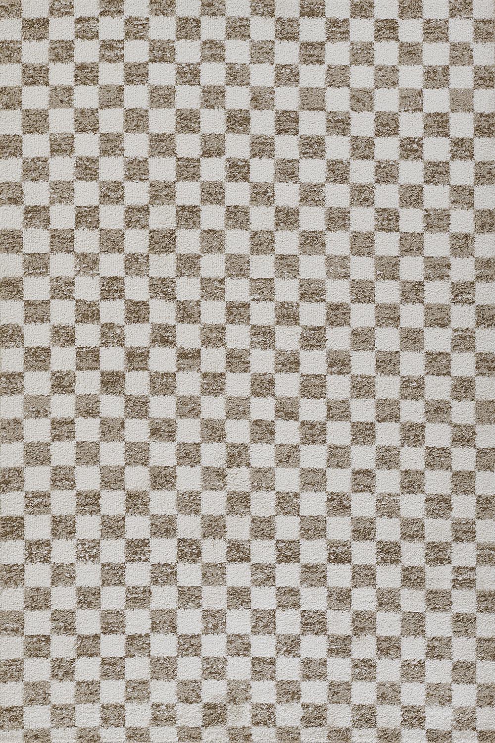 Kaia 1 Checkered Beige Shag Rug