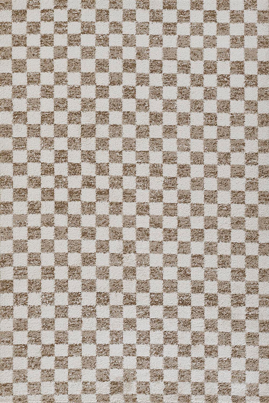 Kaia 1 Checkered Beige Shag Rug