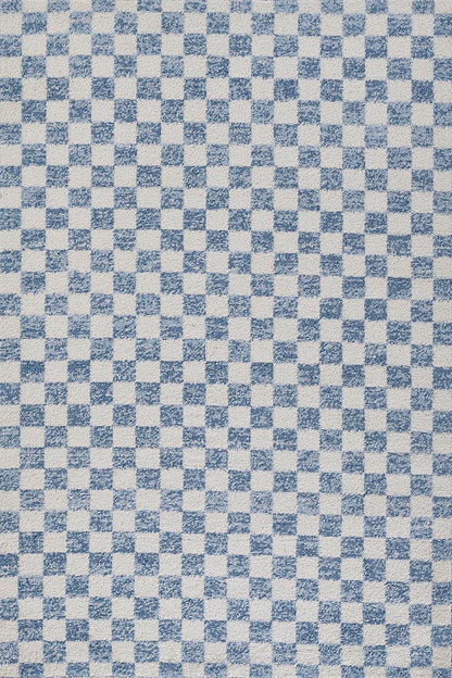 Kaia 1 Checkered Blue Shag Rug