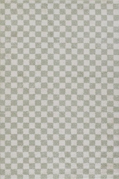 Kaia 1 Checkered Green Shag Rug