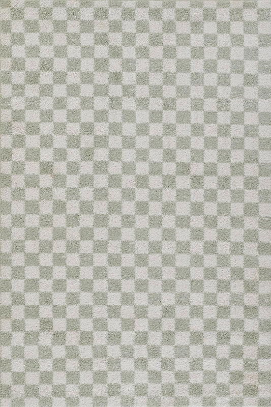 Kaia 1 Checkered Green Shag Rug