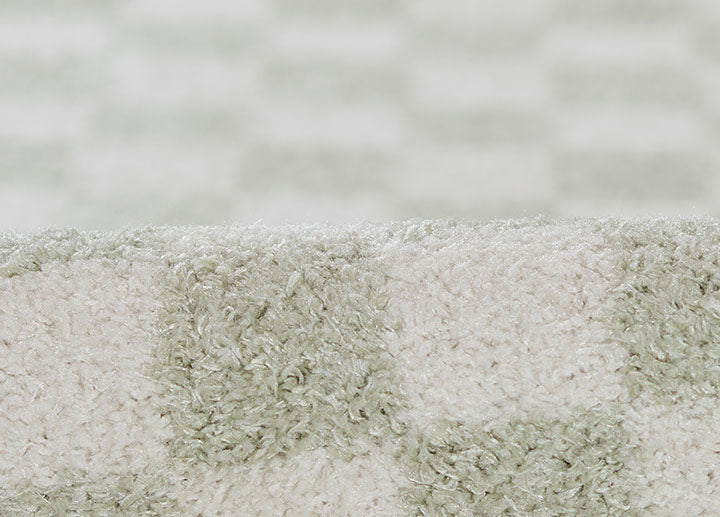 Kaia 1 Checkered Green Shag Rug